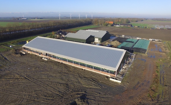 Nieuwbouw ligboxenstal